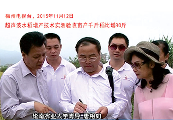 2015年11月11日現(xiàn)場驗(yàn)收