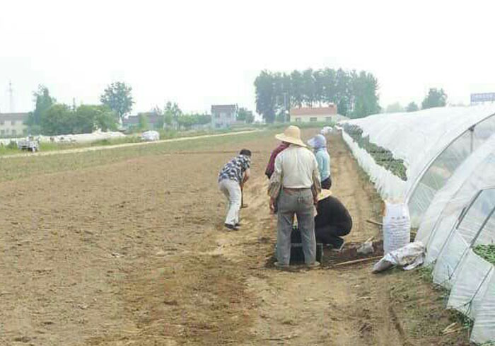 1700970821205071.jpg 4.jpg